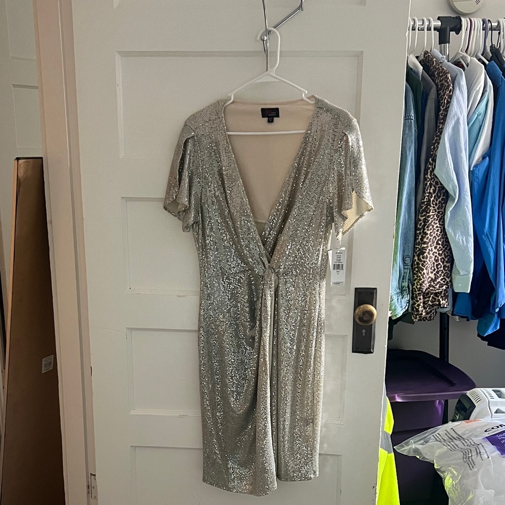 Shimmering Silver Sequin Dress